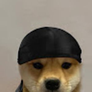 Meet your Posher, Van